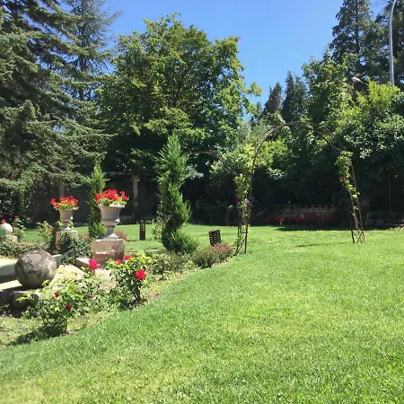ángeles Villa *